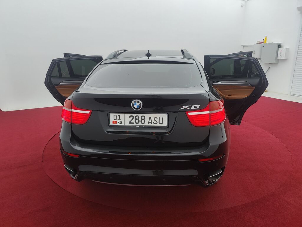 BMW X6: 2009 г., 3 л, Автомат, Бензин, Кроссовер: фото 5