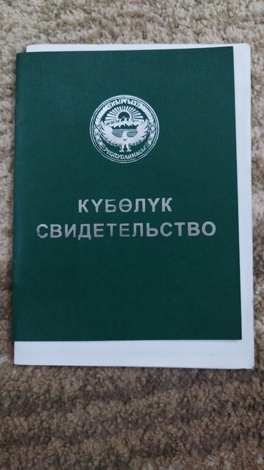 24 соток, Для сельского хозяйства, Договор долевого участия: фото 1