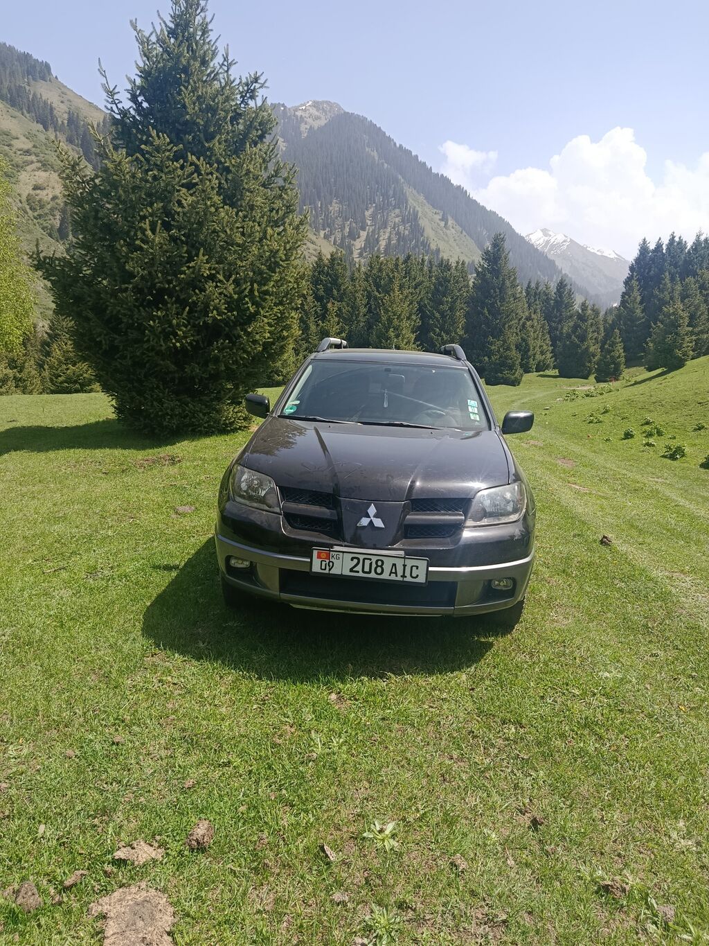 Mitsubishi Outlander: 2003 г., 0.2 л, Механика, Газ, Кроссовер: фото 2