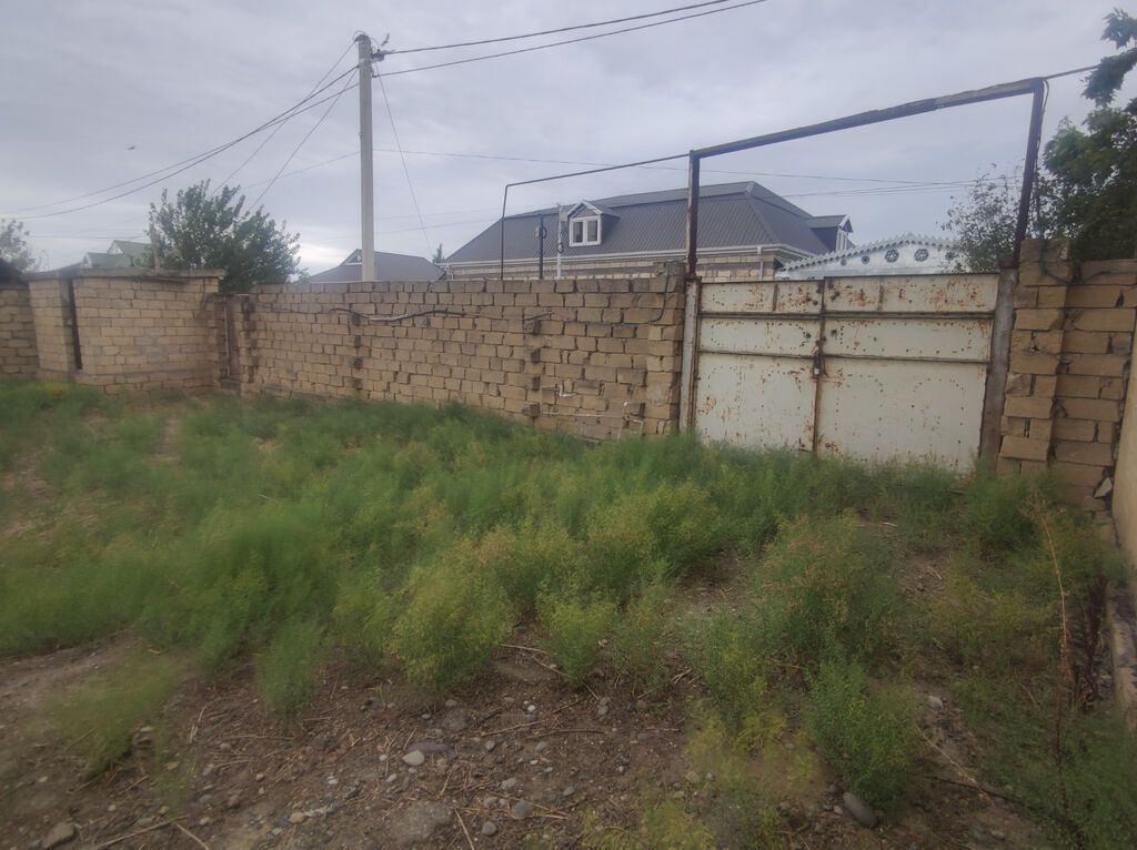 6 sot, Tikinti, Mülkiyyətçi, Kupça (Çıxarış)