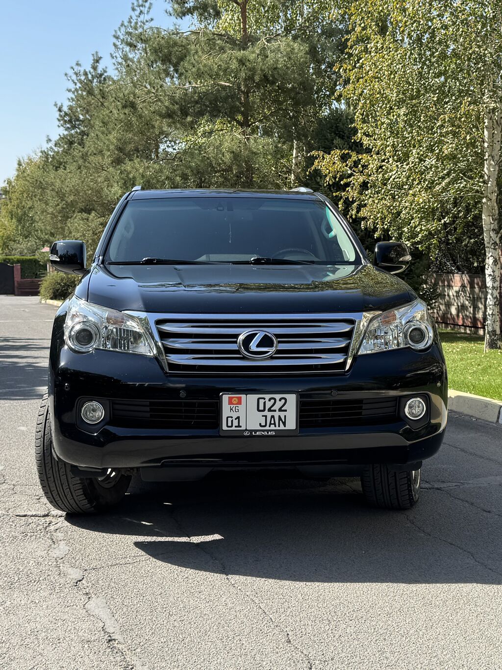 Lexus GX: 2011 г., 4.6 л, Автомат, Бензин, Внедорожник: фото 5