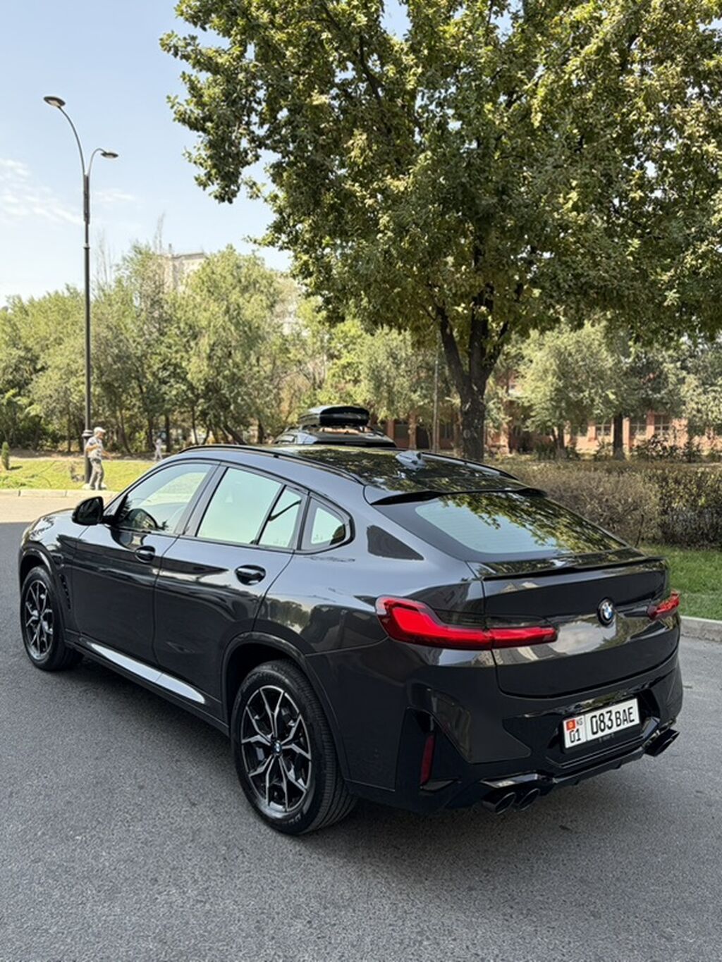 BMW X4: 2023 г., 2 л, Автомат, Бензин, Кроссовер: фото 4