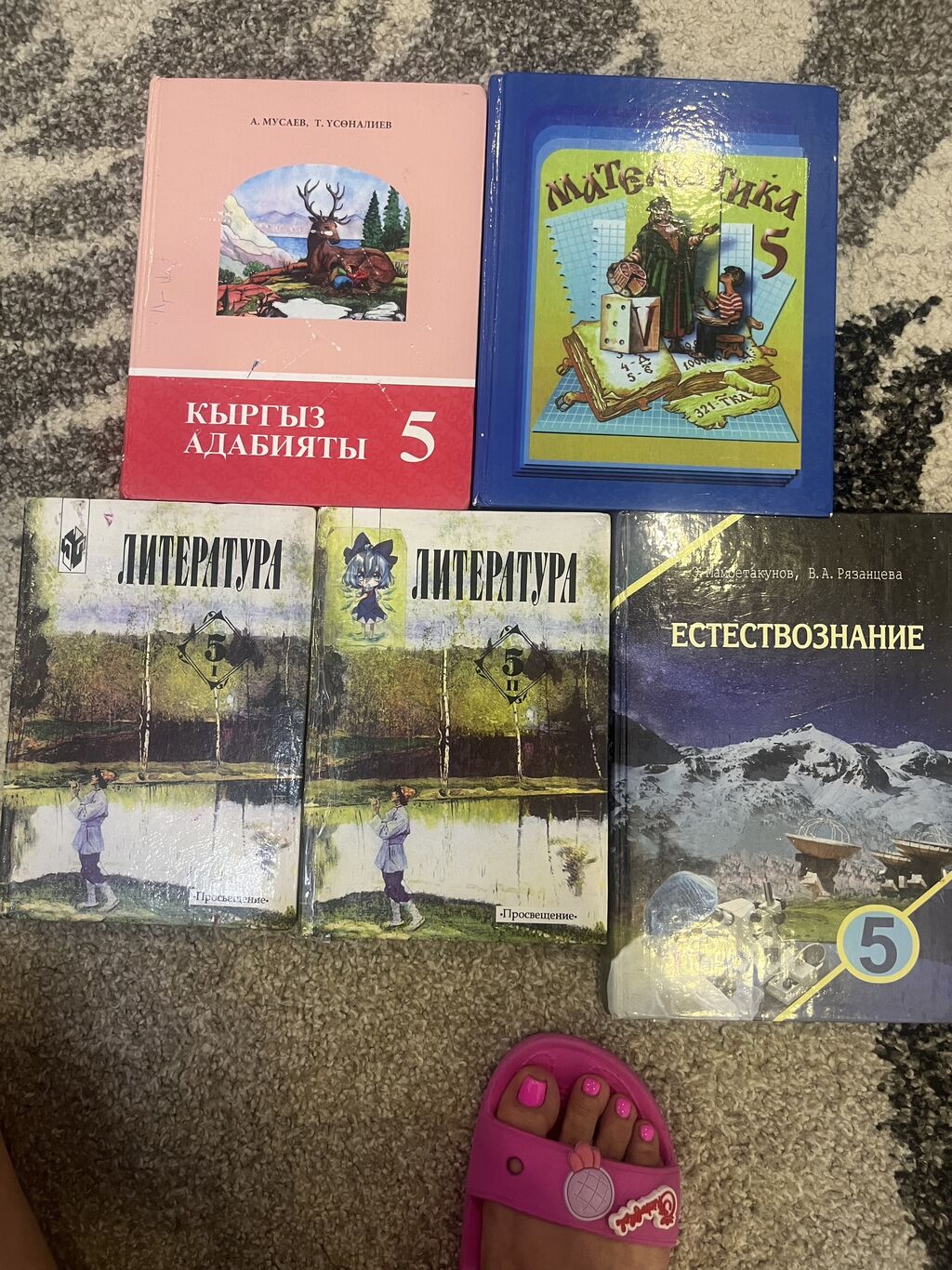 Учебники 5 класс б/у: Договорная ➤ Книги, журналы, CD, DVD | Бишкек |  34179251 ᐈ lalafo.kg