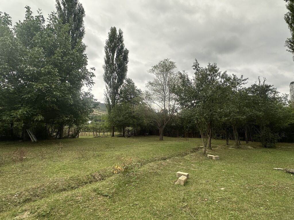 28 sot, Biznes üçün, Mülkiyyətçi, Kupça (Çıxarış)