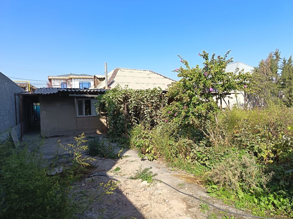Продам участок 7 соток с домом, газ, Бишкек: фото 6