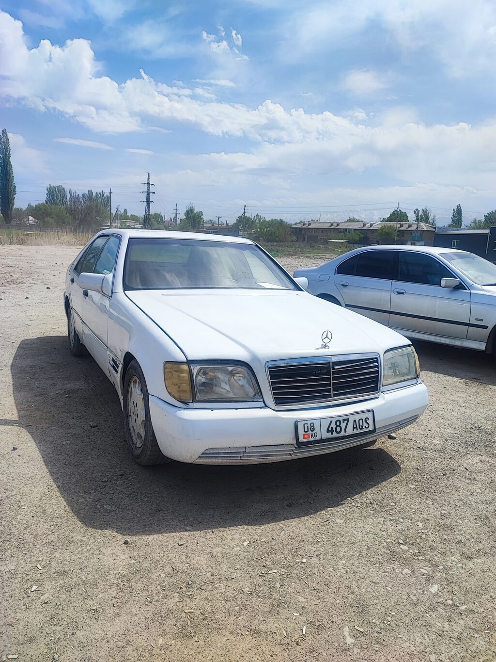 Mercedes-Benz S-Class: 1993 г., 3 л, Автомат, Дизель, Седан: фото 3