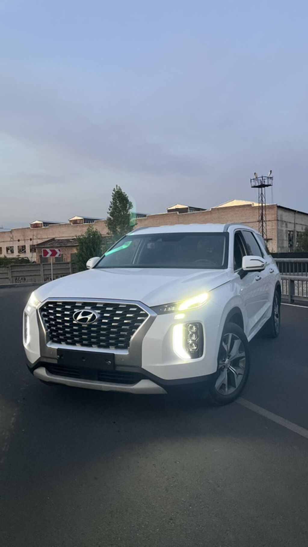 Hyundai Palisade: 2020 г., 2.2 л, Автомат, Дизель, Кроссовер: фото 2