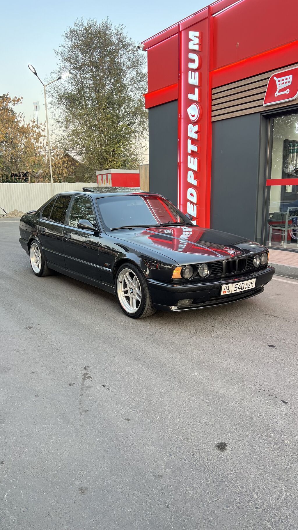 BMW 5 series: 1993 г., 4 л, Механика, Бензин, Седан: фото 2