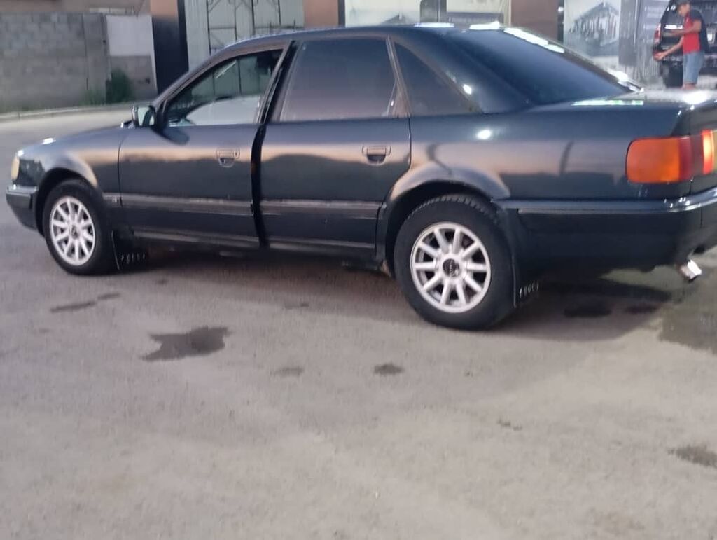 Audi 100: 1991 г., 2.8 л, Механика, Бензин, Седан: фото 1