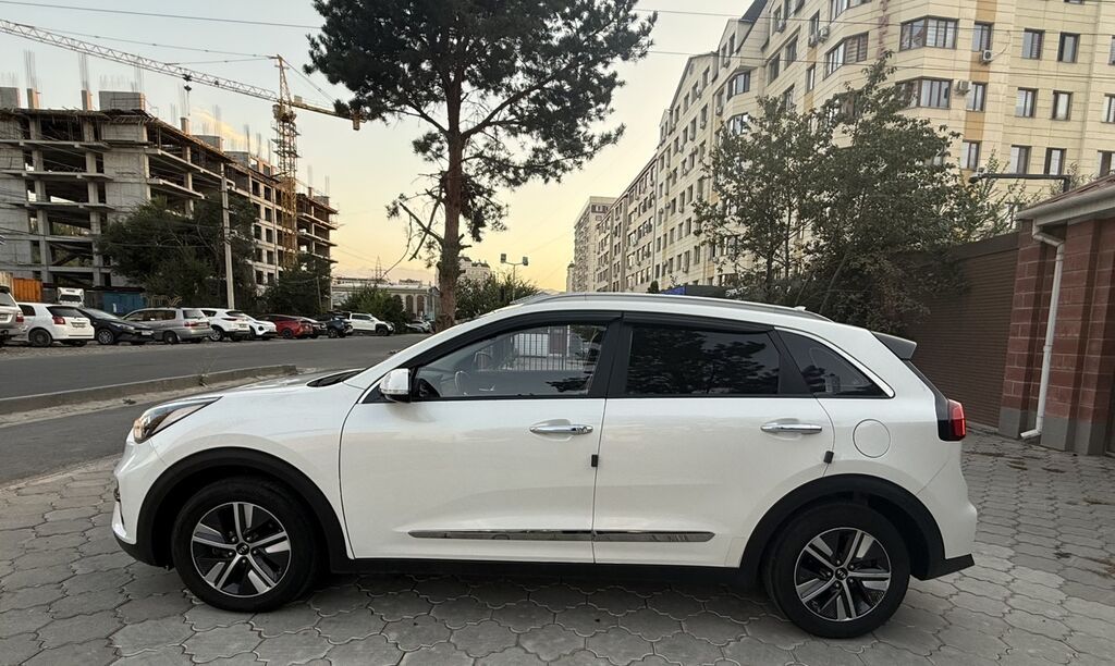Kia Niro: 2020 г., 1.6 л, Автомат, Гибрид, Кроссовер: фото 4
