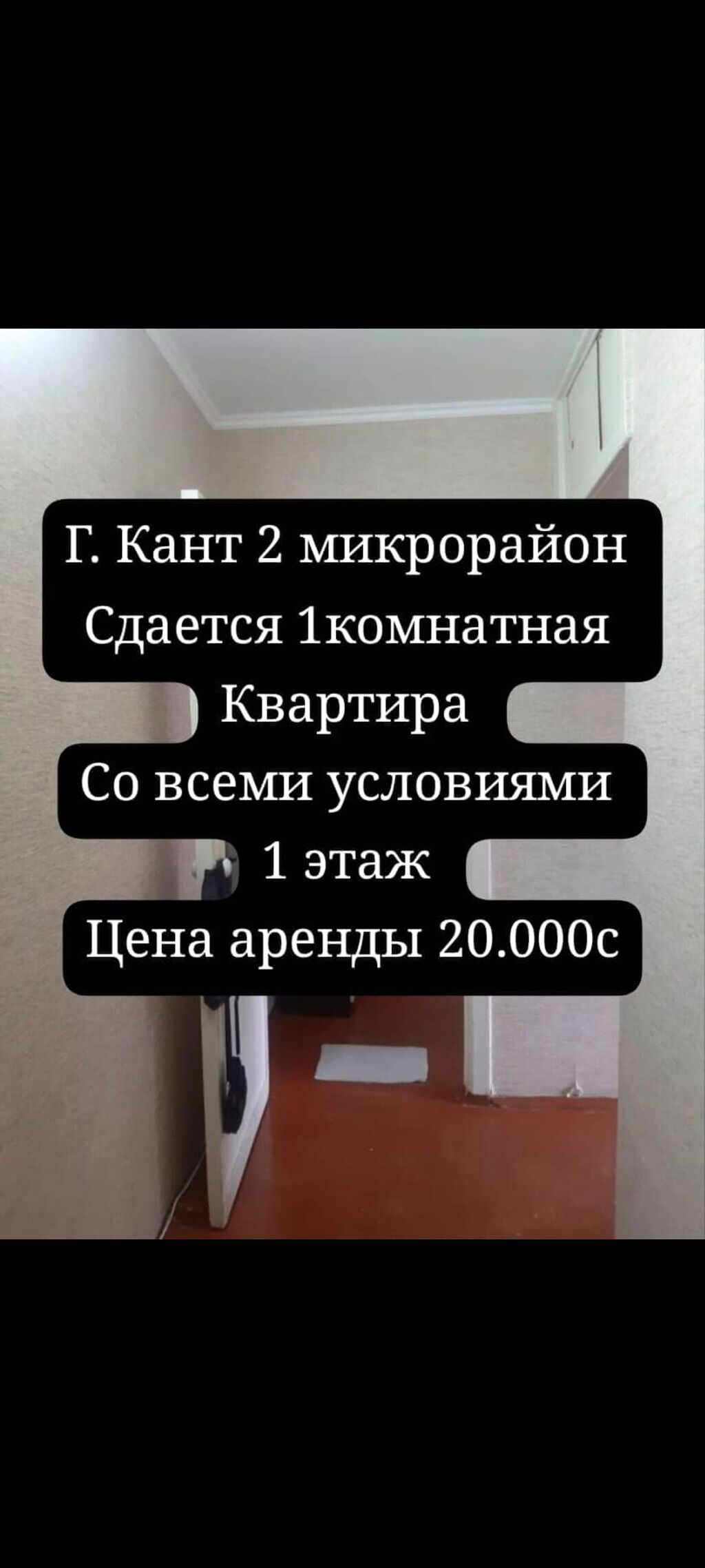 1 комната, Собственник, Без животных, от 1 года, С мебелью полностью: фото 1