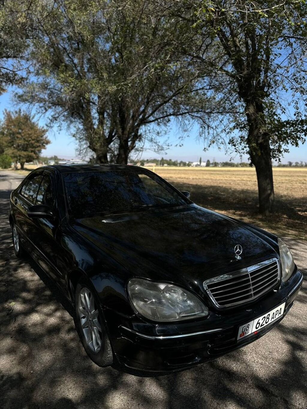 Mercedes-Benz S-Class: 2001 г., 4.3 л, Автомат, Газ, Седан: фото 5