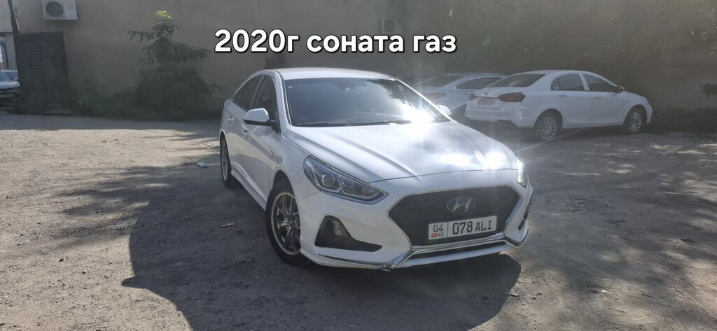 Hyundai Sonata: 2020 г., 2 л, Автомат, Газ, Седан: фото 1