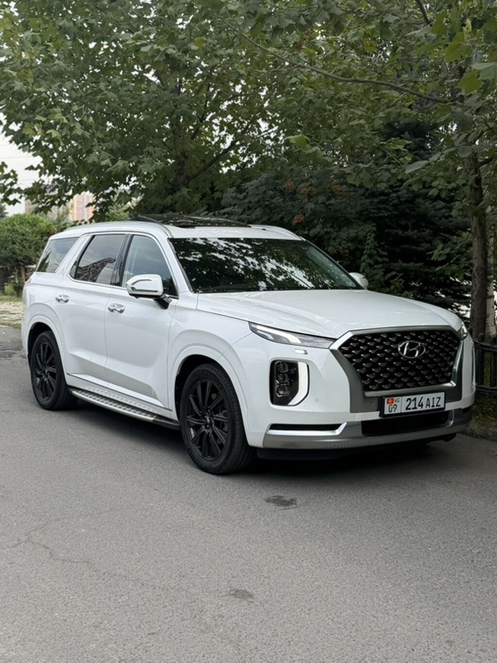 Hyundai Palisade: 2020 г., 2.2 л, Автомат, Дизель, Кроссовер: фото 3