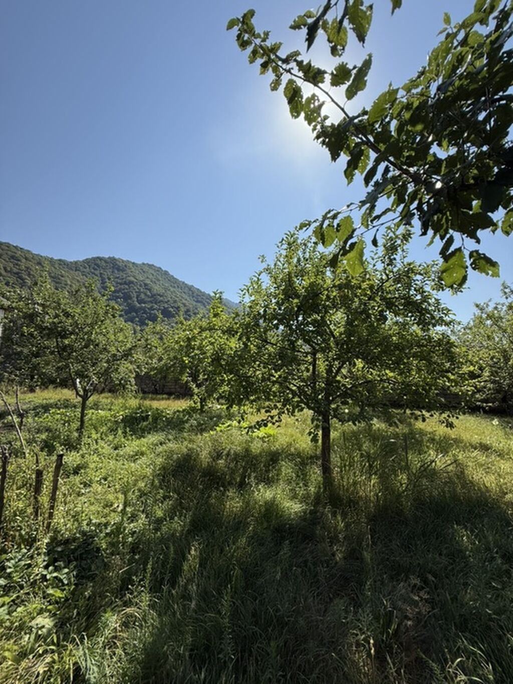 3 sot, Tikinti