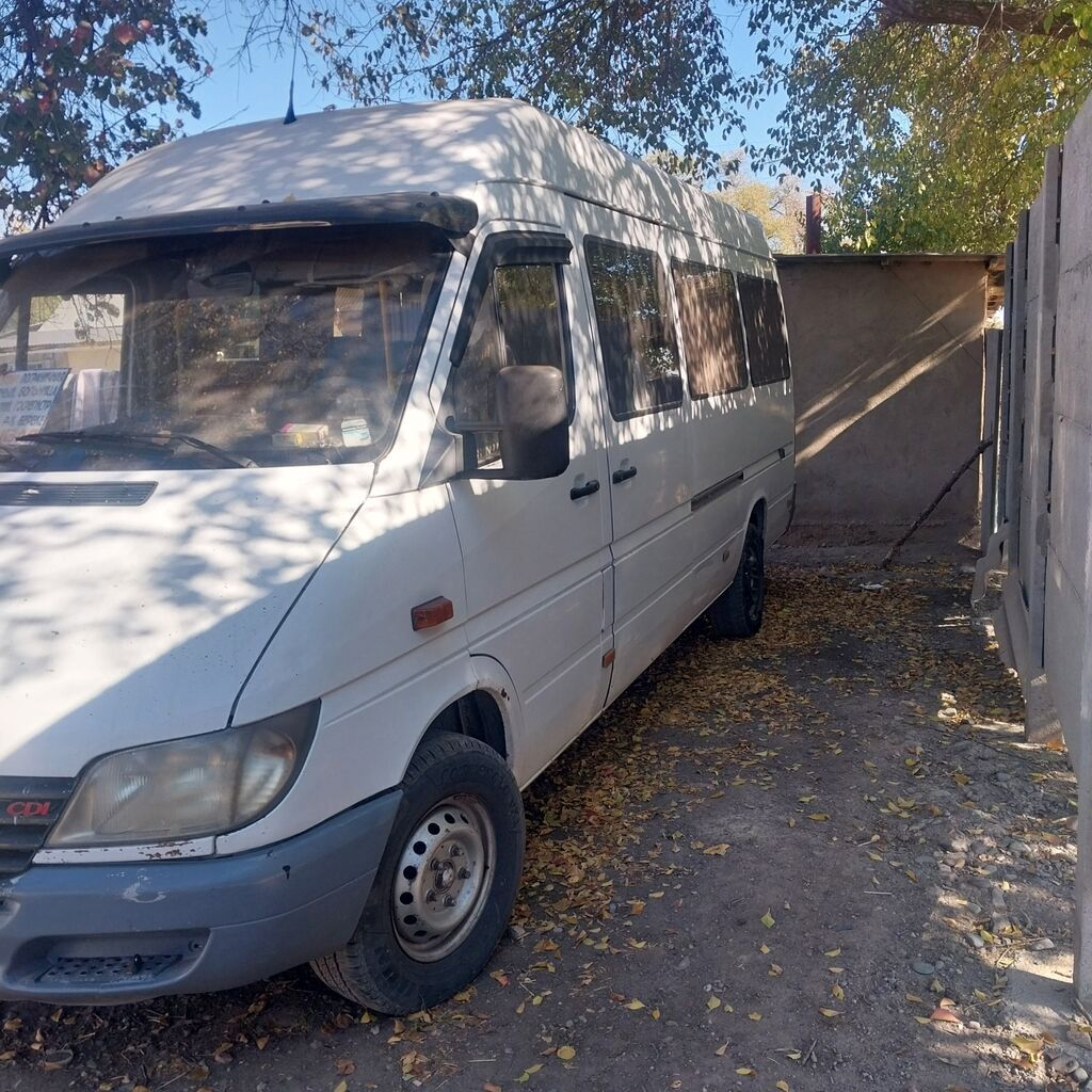 Mercedes-Benz Спринтер: 2003 г., 2.9 л, Механика, Дизель, Бус: фото 3
