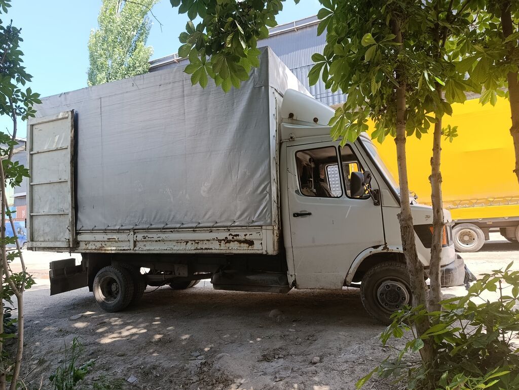 Mercedes-Benz Спринтер: 1995 г., 2.9 л, Механика, Дизель, Фургон: фото 3