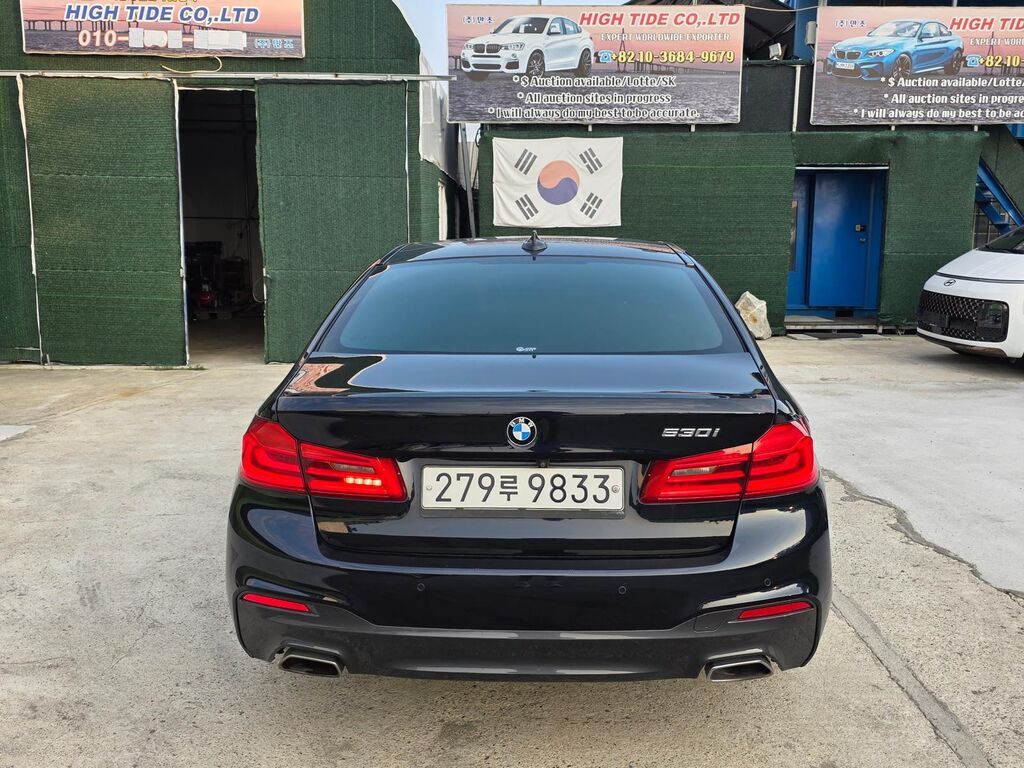 BMW 530: 2020 г., 2 л, Автомат, Бензин, Седан: фото 6