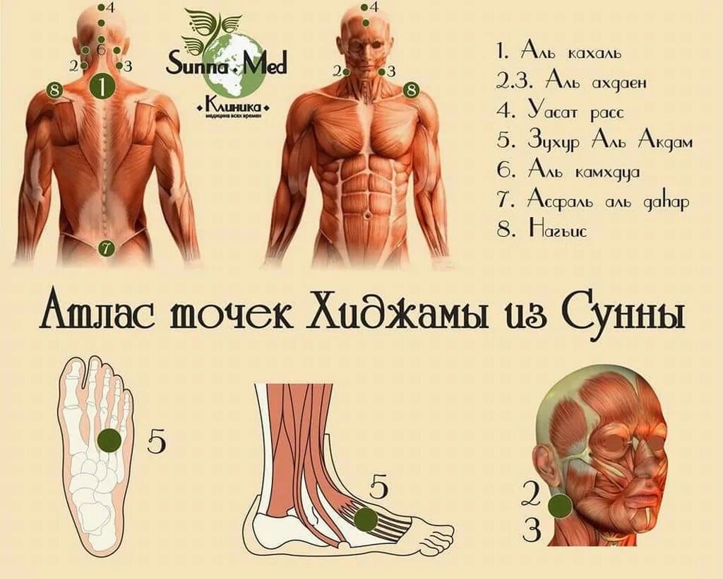 Хиджама и диета за месяц