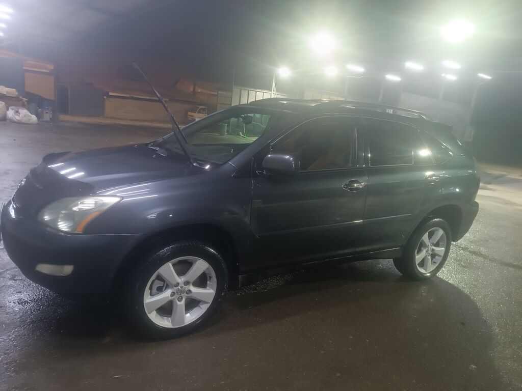 Lexus RX: 2005 г., 3.3 л, Автомат, Газ, Кроссовер: фото 2