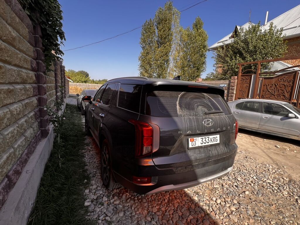 Hyundai Palisade: 2019 г., Автомат, Кроссовер: фото 5