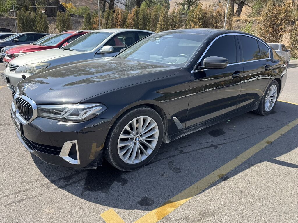 BMW 520: 2021 г., 2 л, Автомат, Бензин, Седан: фото 5