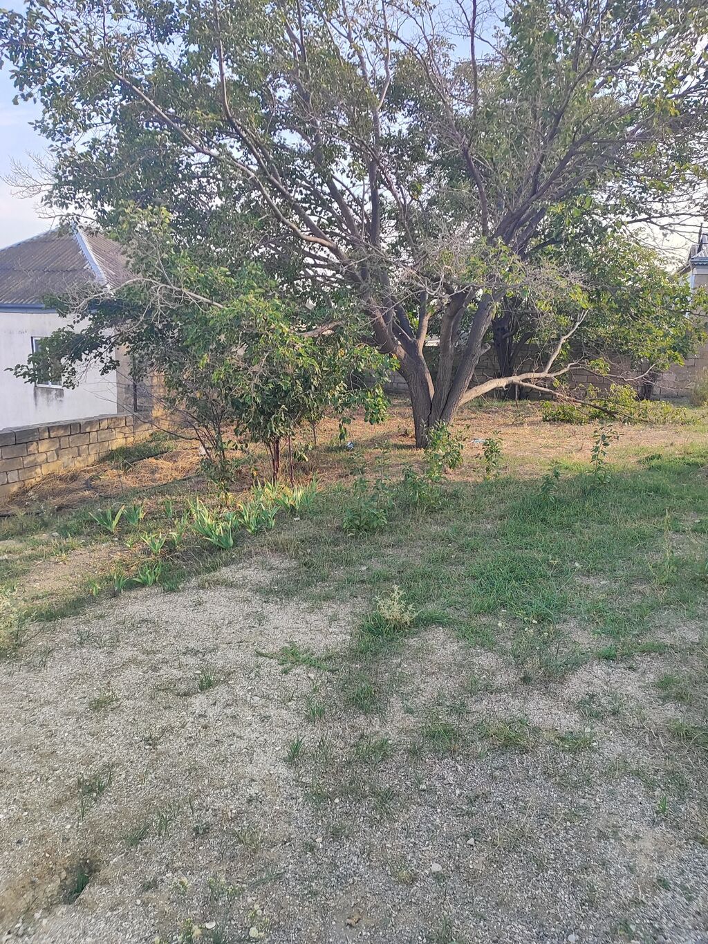 14 sot, Tikinti, Maklerlər narahat etməsin, Kupça (Çıxarış)