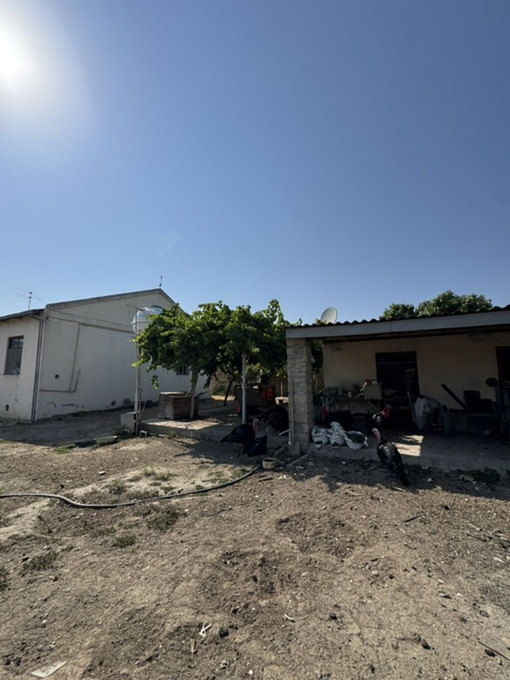Binə 6 otaqlı, 1000 kv. m, Kredit yoxdur, Orta təmir