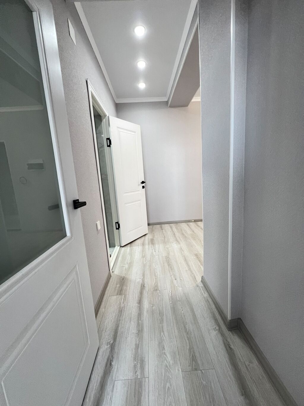 1 комната, 51 м², Манас-Ата мкр., Элитка, 7 этаж, Свежий ремонт: фото 7