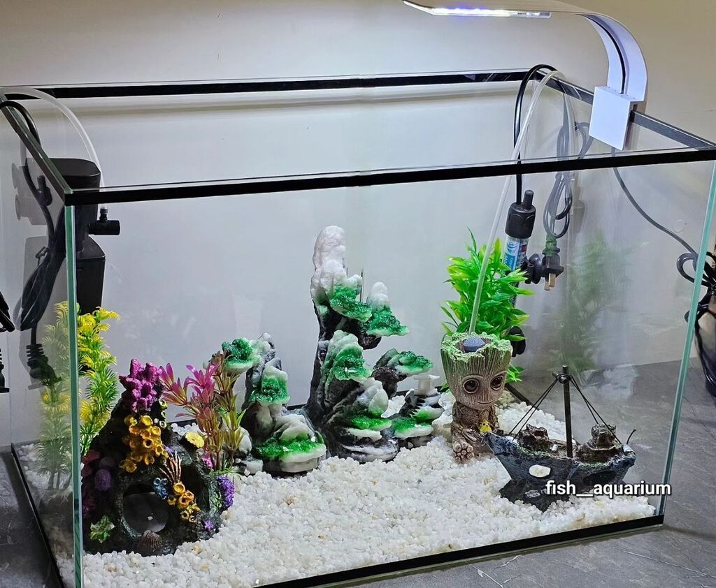 Поделка из природных материалов — аквариум с рыбками