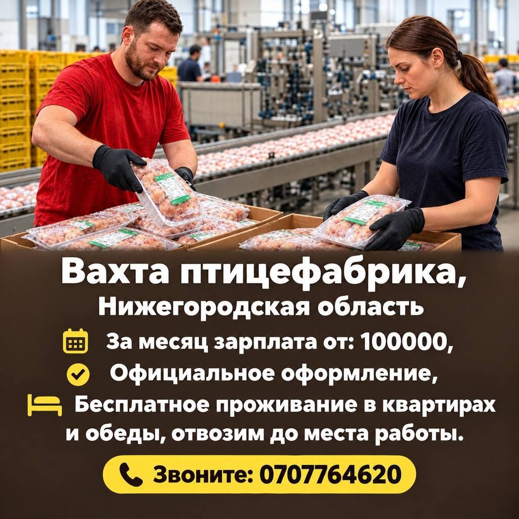 Работа на птицефабрику в Павлово (Россия)