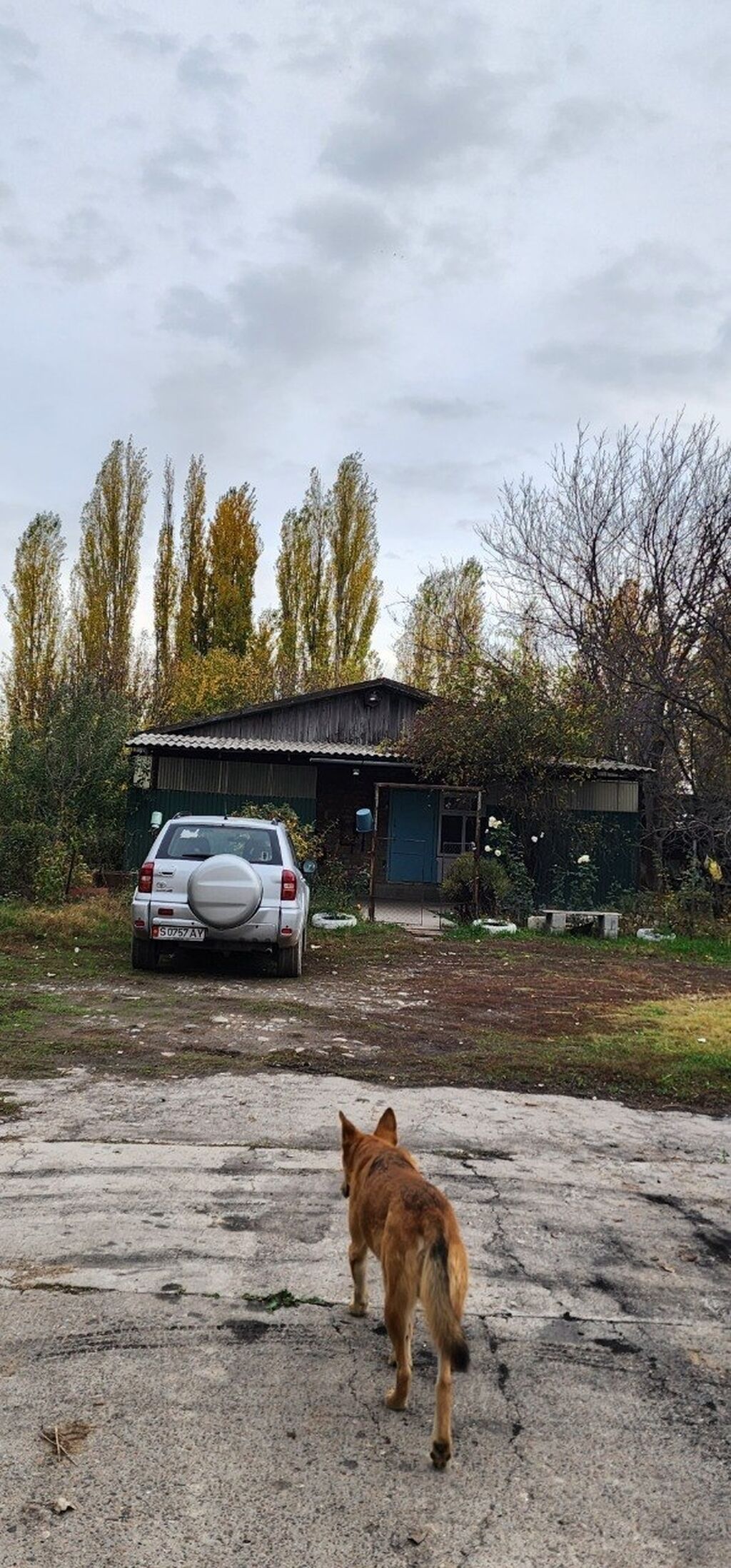 Farm КРС, 110 соток, Действующий, Электричество