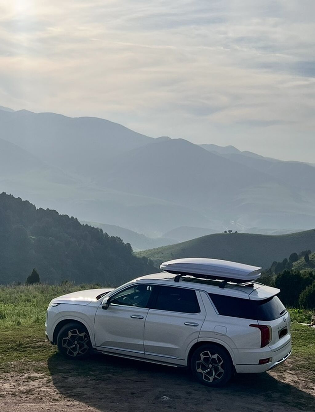 Hyundai Palisade: 2022 г., 2.2 л, Автомат, Дизель, Кроссовер: фото 3