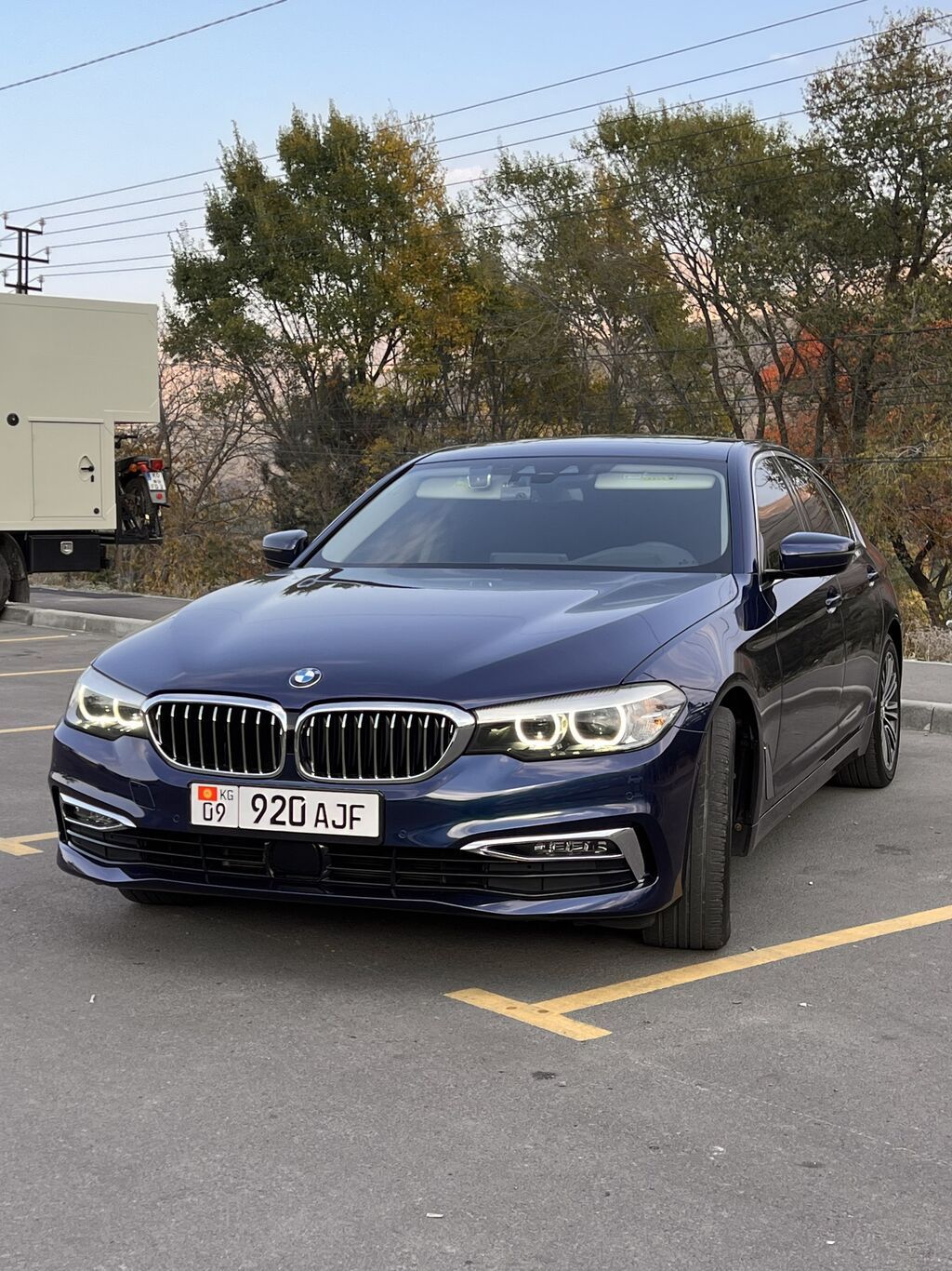 BMW 5 series: 2019 г., 2 л, Автомат, Бензин, Седан: фото 7