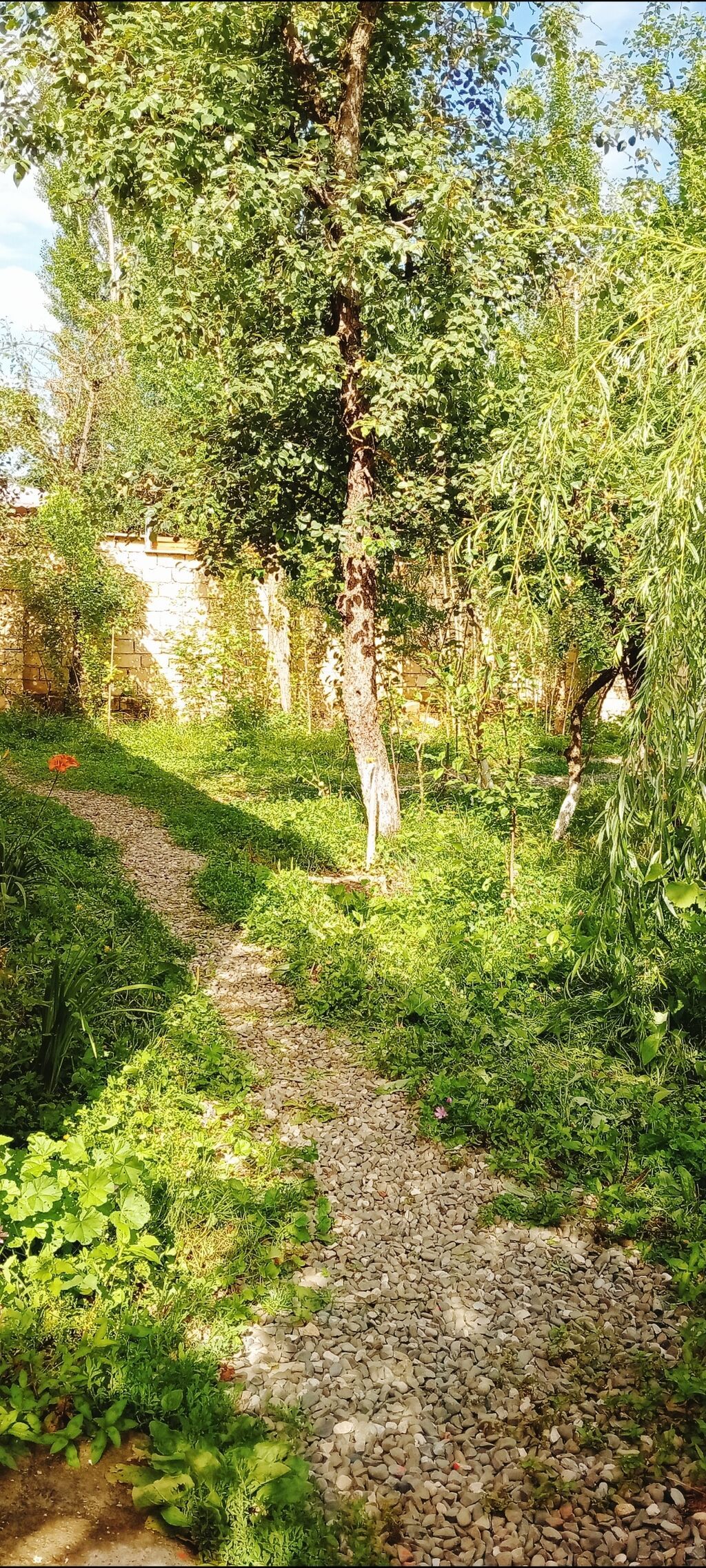 90 kv. m, 3 otaqlı, İnternet, Telefon, Qaz