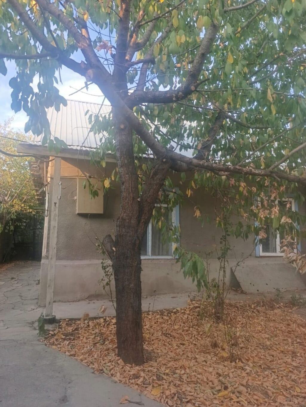 Продается дом, саман 4 сотки 3- комнаты Водоснабжение — центральное: фото 6
