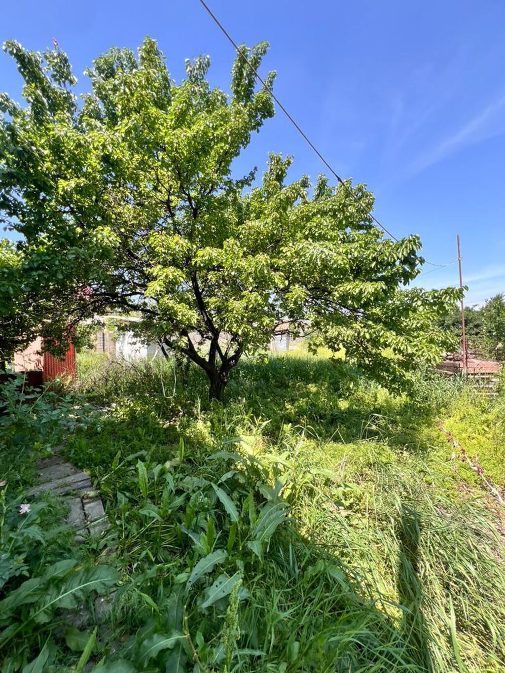 3 комнаты, 80 м², 5 соток, Бишкек, Арча-Бешик ж/м Агентство недвижимости: фото 4