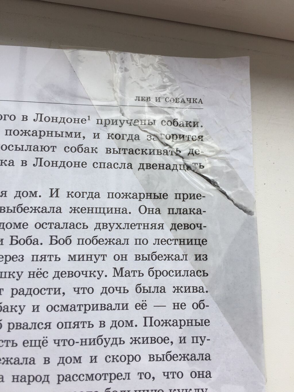 Книга на лето. Л. Н. Толстой. Сказки, рассказы, повести. Серия «Для: фото 6