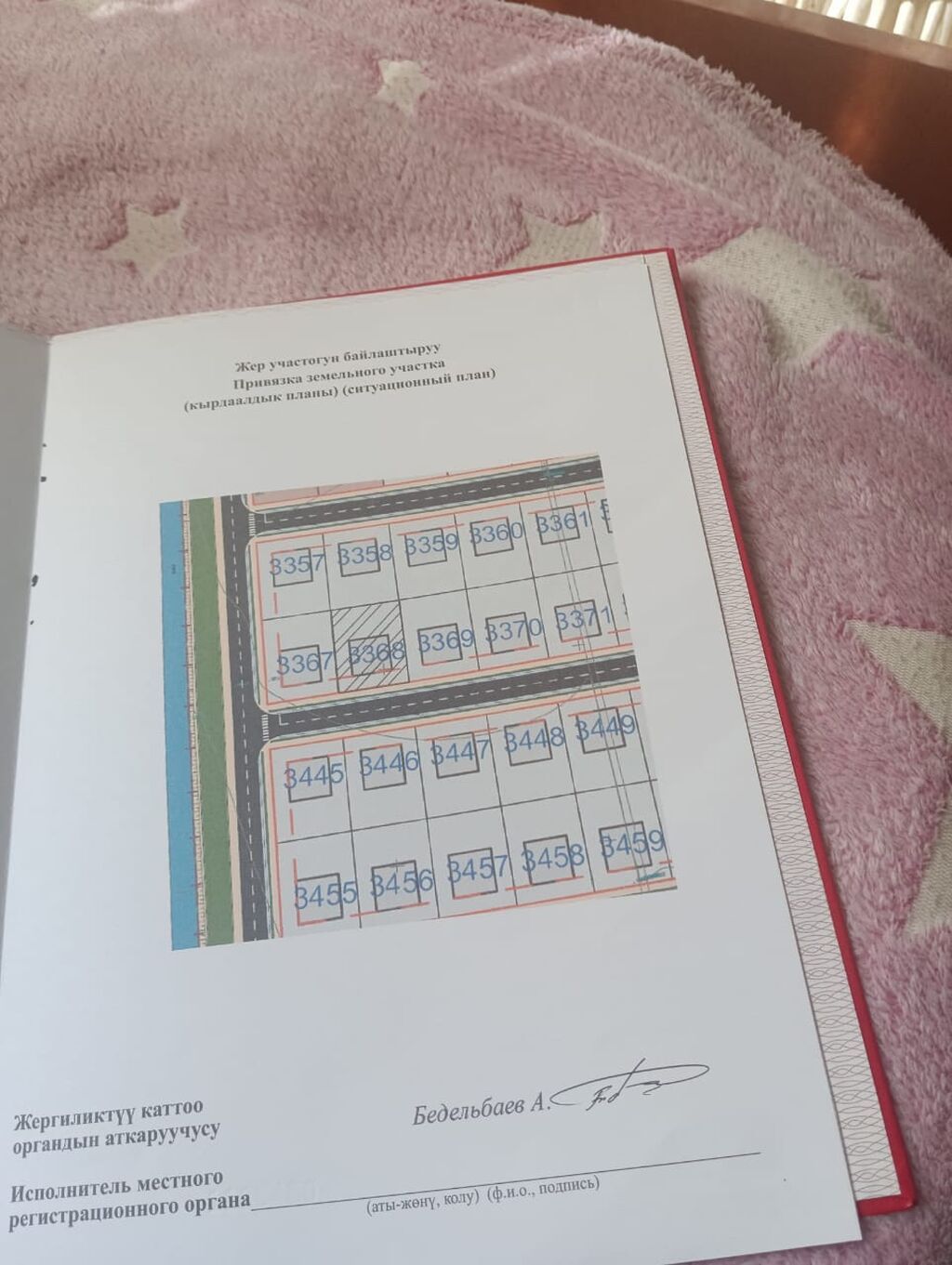 4 соток, Красная книга: фото 2