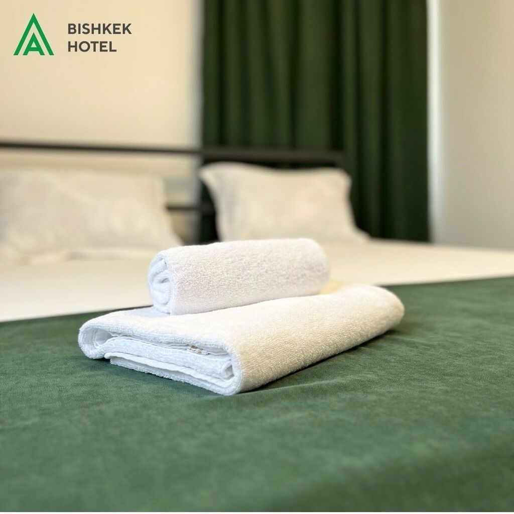 Уютный отель "A HOTEL BISHKEK" 2-х и 3-х местные номера. Цены от — фото 7