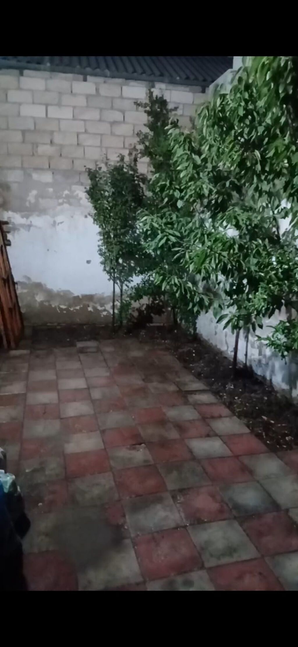 3 otaqlı, 80 kv. m, Orta təmir