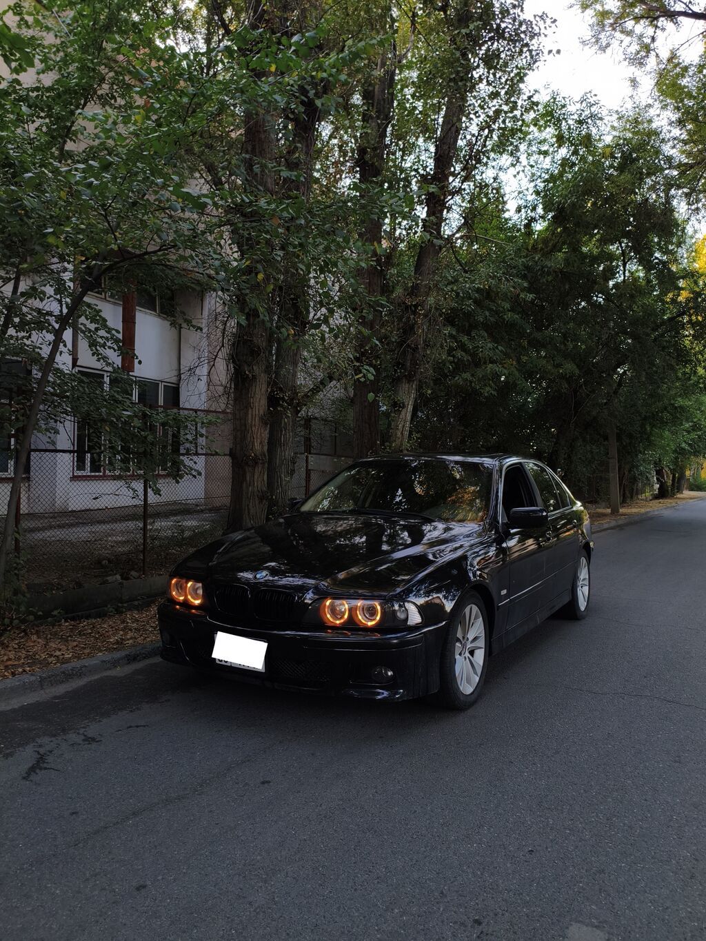 BMW 5 series: 2002 г., 2.5 л, Механика, Бензин, Седан: фото 2