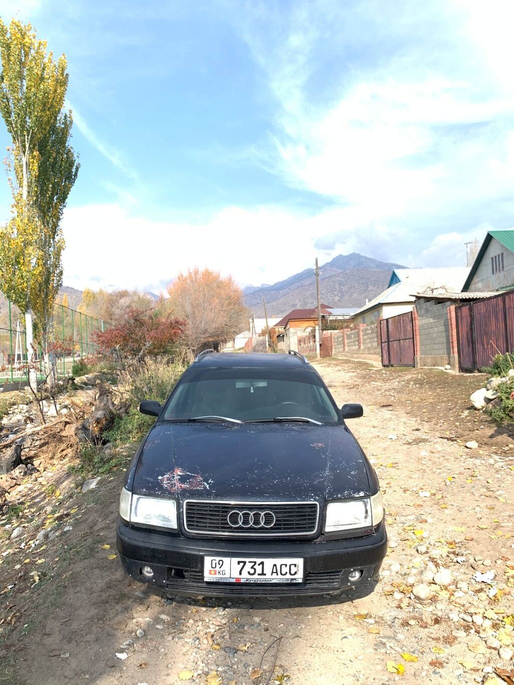 Audi 100