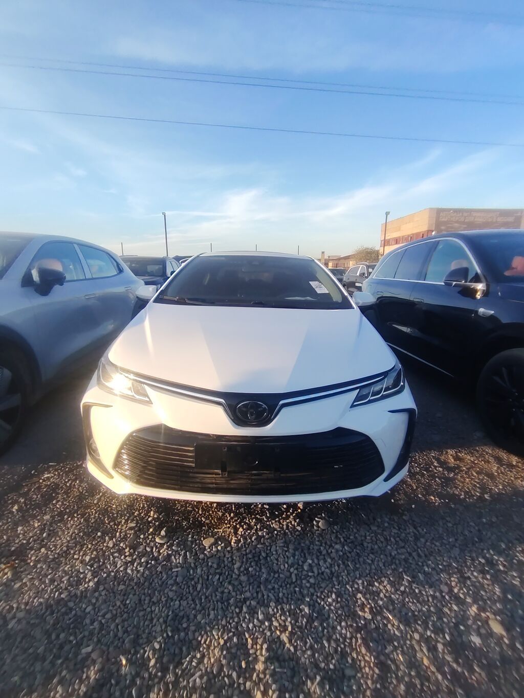 Toyota Corolla: 2020 г., 1.2 л, Вариатор, Бензин, Седан: фото 1
