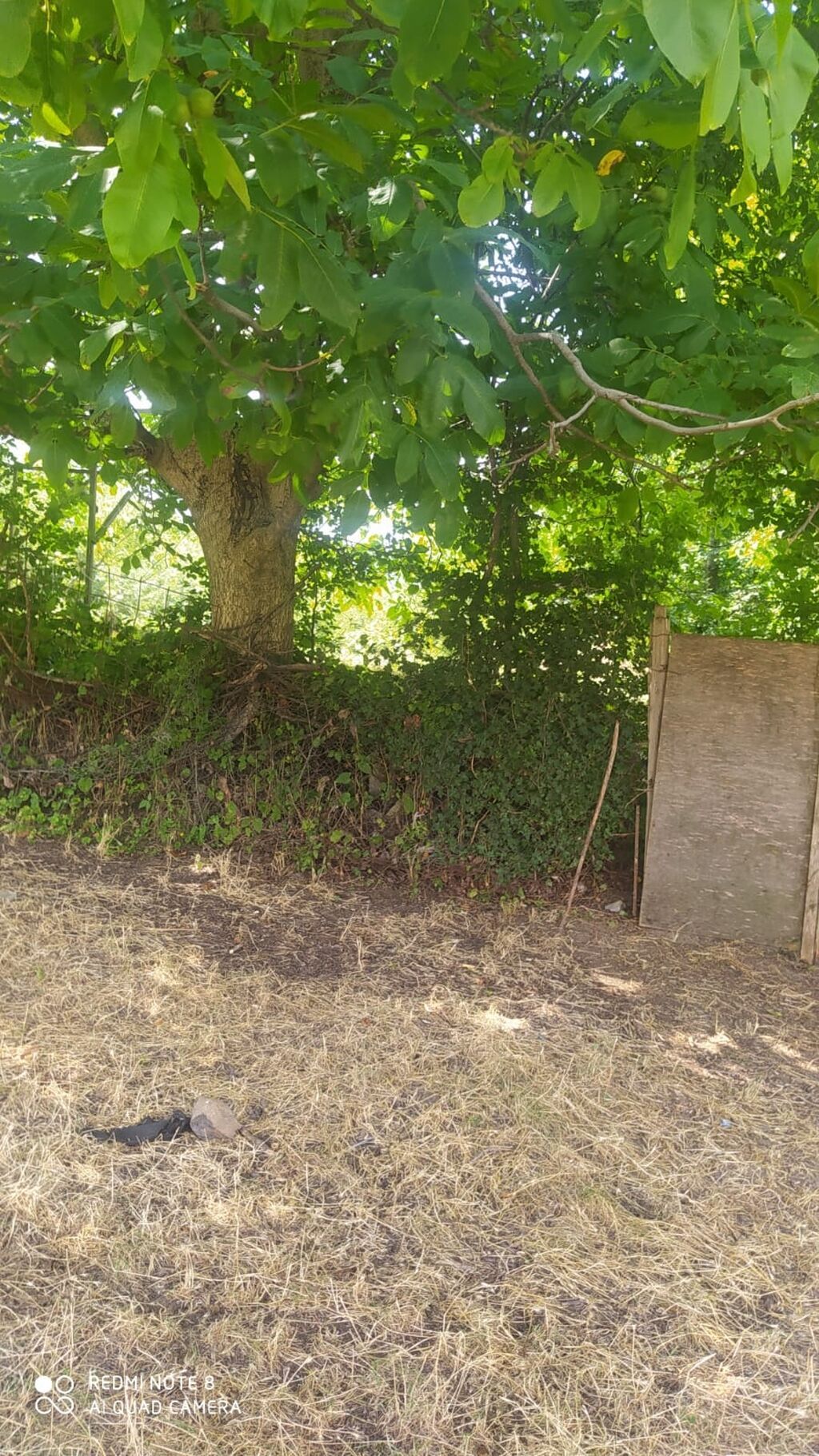 Gəncə, 4 kv. m, 1 otaqlı, Hovuzsuz, Su
