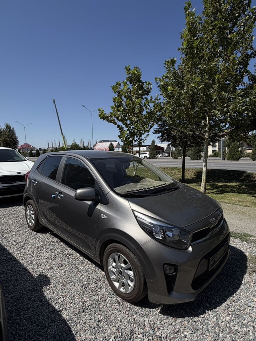 Kia Morning: 2019 г., 1 л, Автомат, Бензин, Хэтчбэк: фото 5