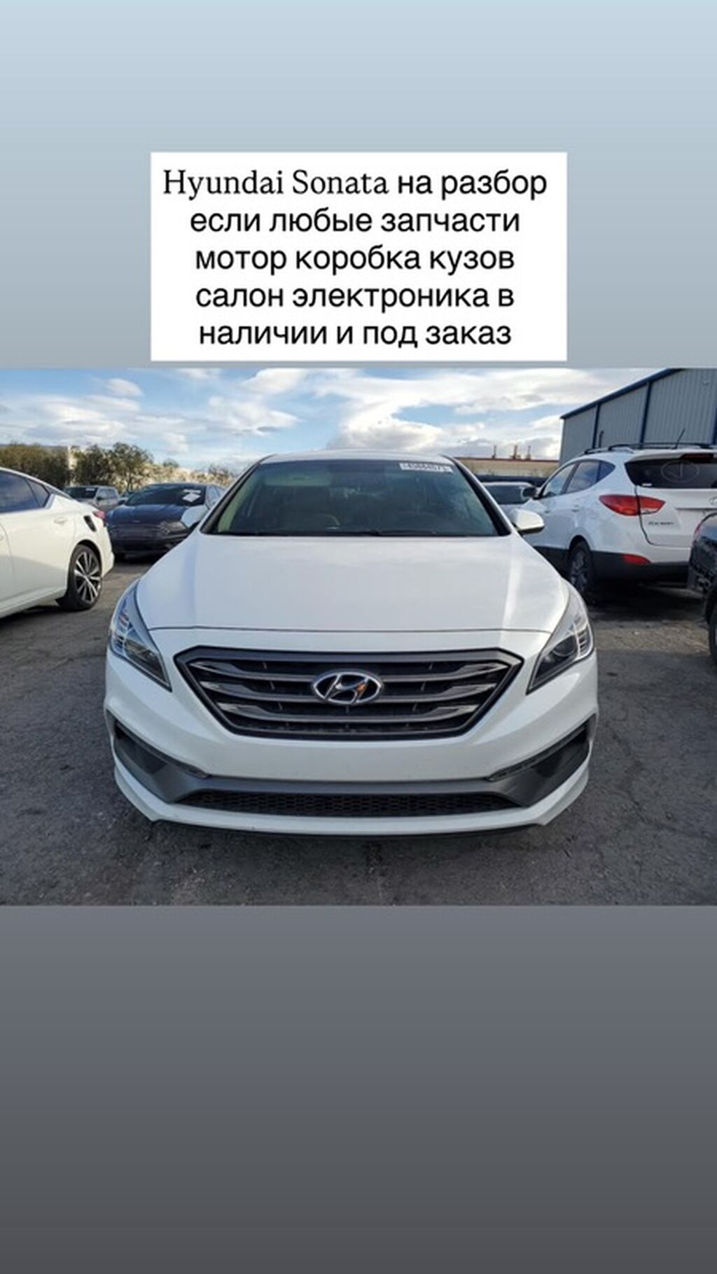 Hyundai Sonata: 2017 г.: фото 1