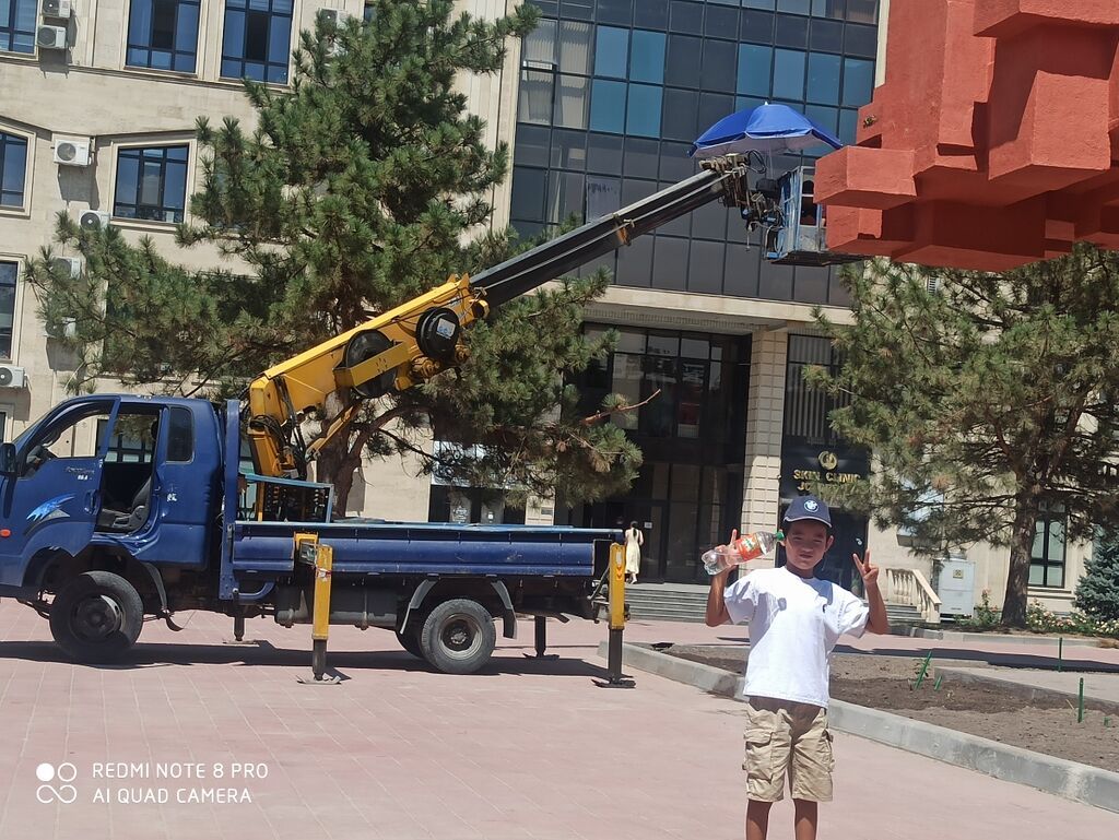 Стрела 16 м, 200 т: фото 2