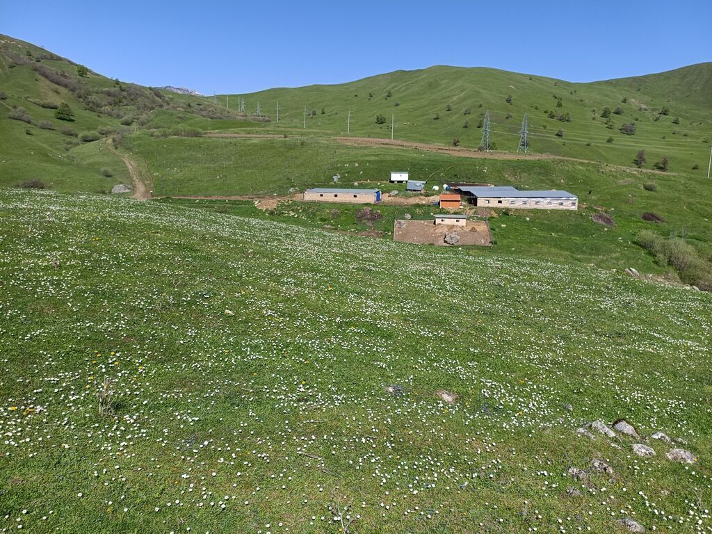 105 sot, Kənd təsərrüfatı, Mülkiyyətçi, Kupça (Çıxarış)