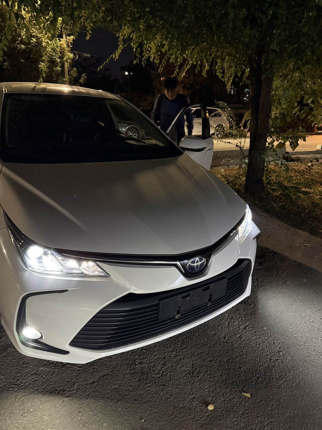 Toyota Corolla: 2020 г., 1.8 л, Гибрид: фото 3
